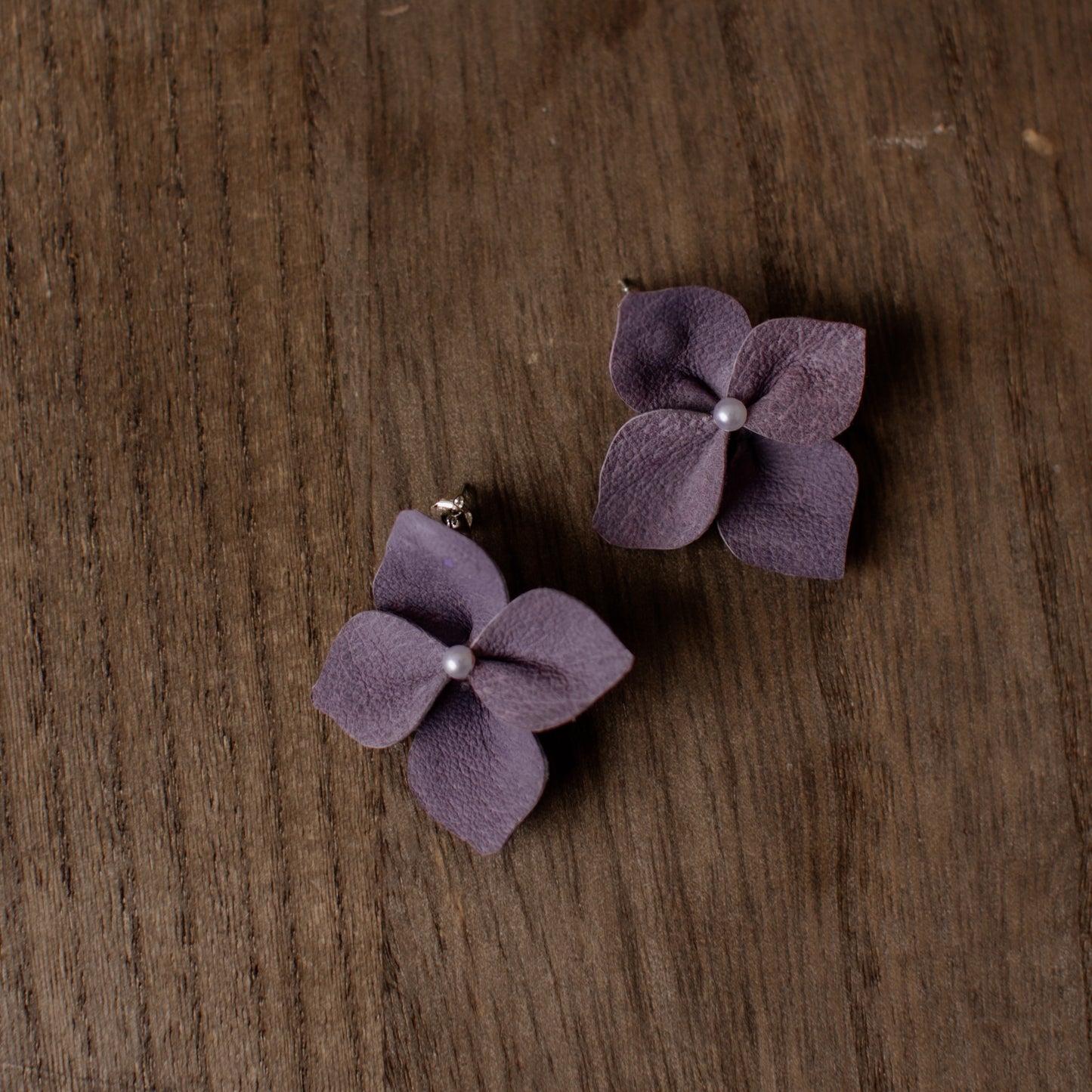 Korvakorut, Hortensia