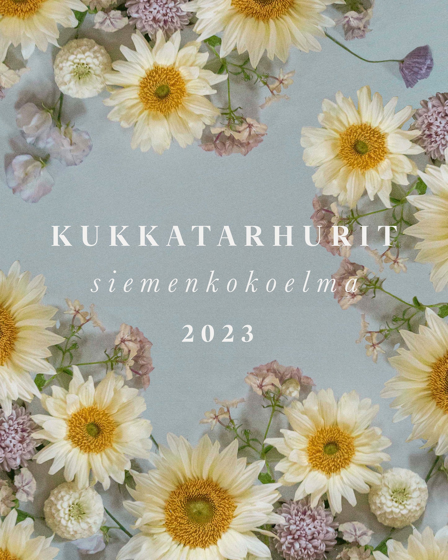 Kukkasiemenet, Isotsinnia